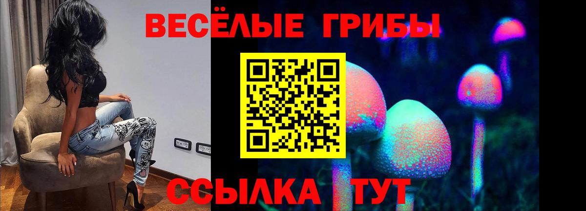 где найти наркотики  Вход с VPN  Чистополь  Псилоцибиновые грибы Cubensis 